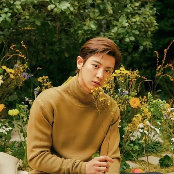 Top Photo Full of Chanyeol (EXO) Love