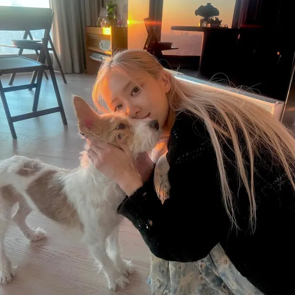 粉丝票选的ROSÉ (BLACKPINK)最佳瞬间