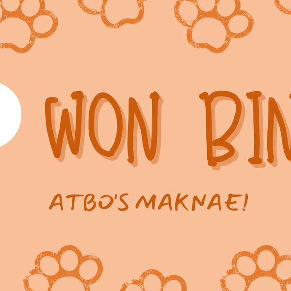Won Bin_ATBO