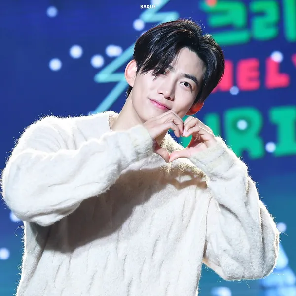 Idol_Top_Banner