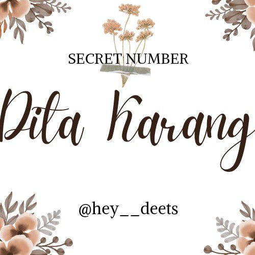 Dita_SECRET NUMBER