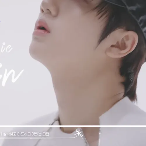 Fans' Pick: Best Moment of Wonjin (CRAVITY)