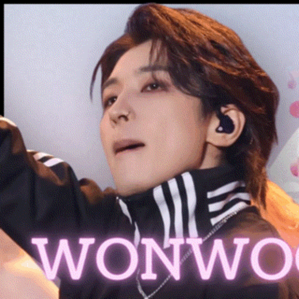 Wonwoo_SEVENTEEN