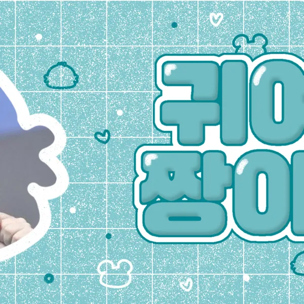 Idol_Top_Banner