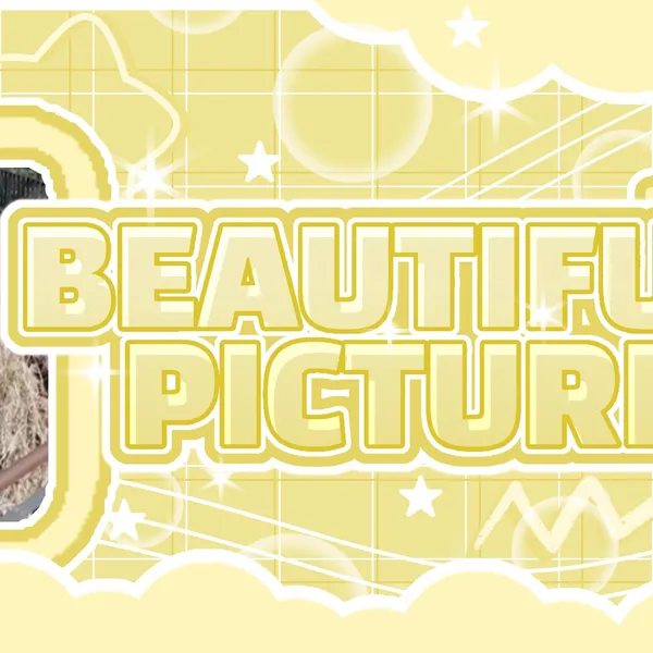 Fans' Pick: Best Moment of Minji