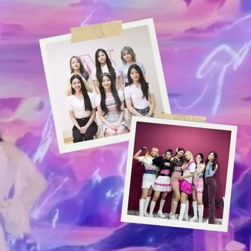 오늘 가장 사랑받은 라필루스의 모습