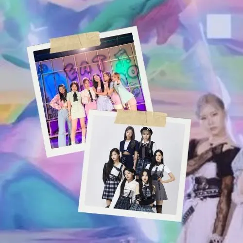 오늘 가장 사랑받은 라필루스의 모습