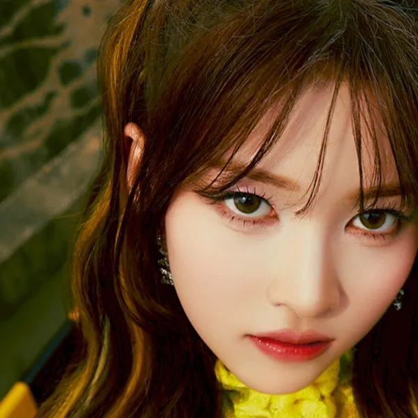 Idol_Top_Banner