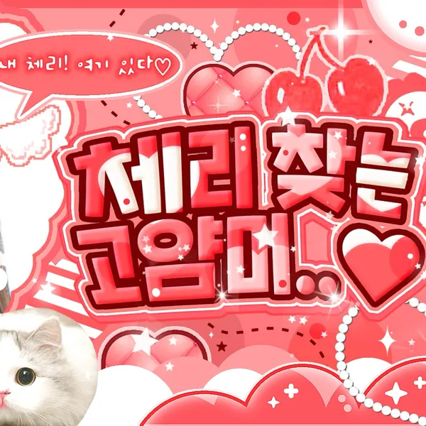 Idol_Top_Banner