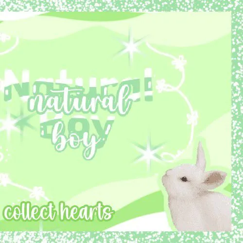 Idol_Top_Banner