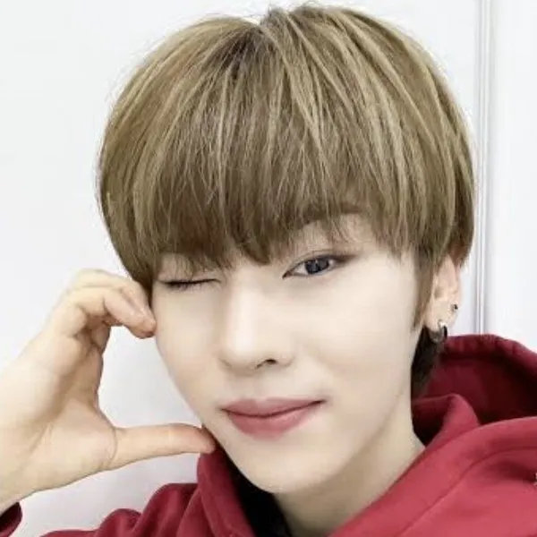Idol_Top_Banner
