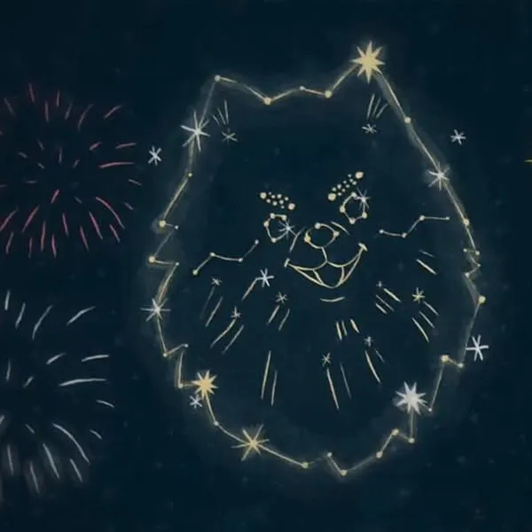 오늘 가장 사랑받은 방탄소년단의 모습