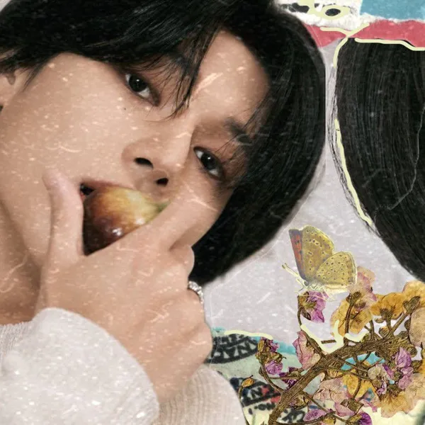 Idol_Top_Banner