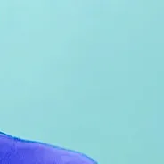 Idol_Top_Banner