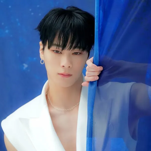 Idol_Top_Banner