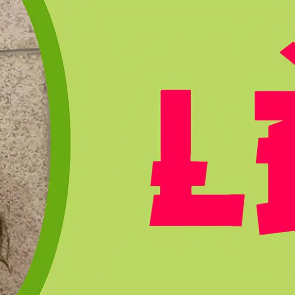 Fans' Pick: Best Moment of Léa (1995)