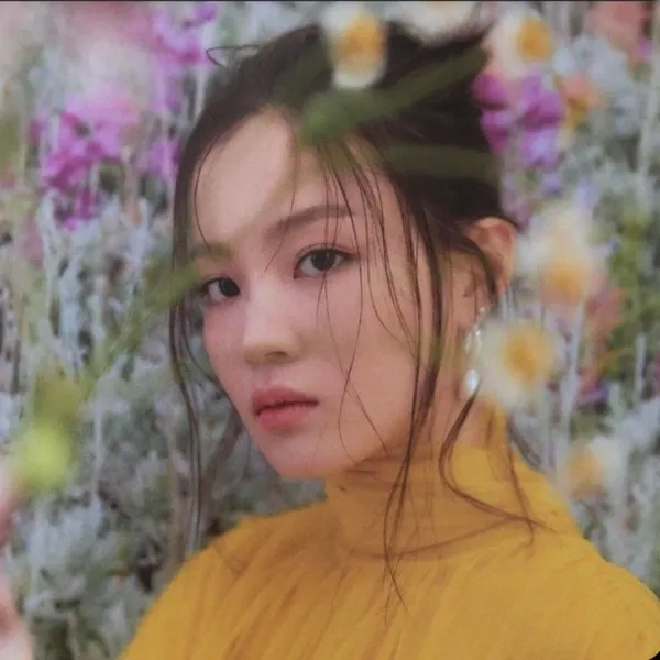 Idol_Top_Banner