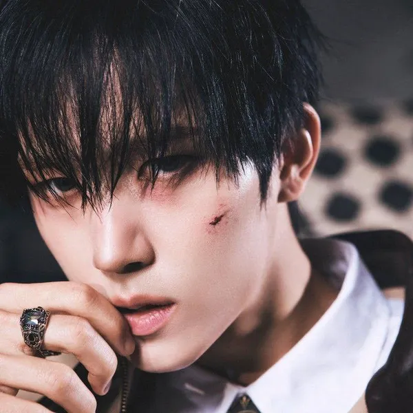 Idol_Top_Banner