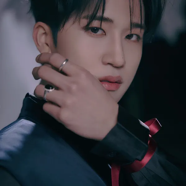 Idol_Top_Banner