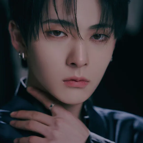 Idol_Top_Banner