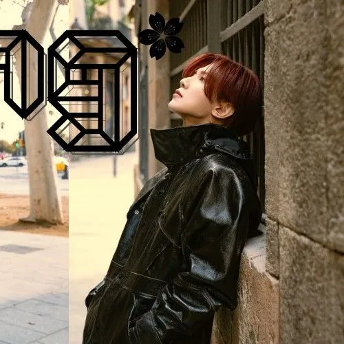 Idol_Top_Banner