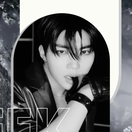 Idol_Top_Banner