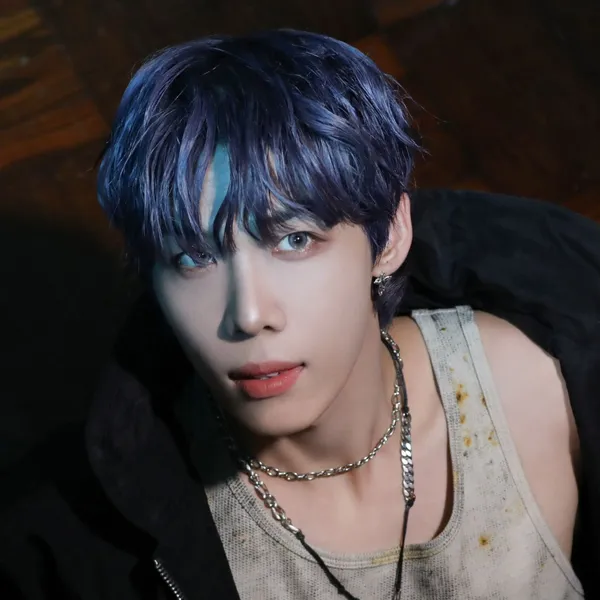 Idol_Top_Banner