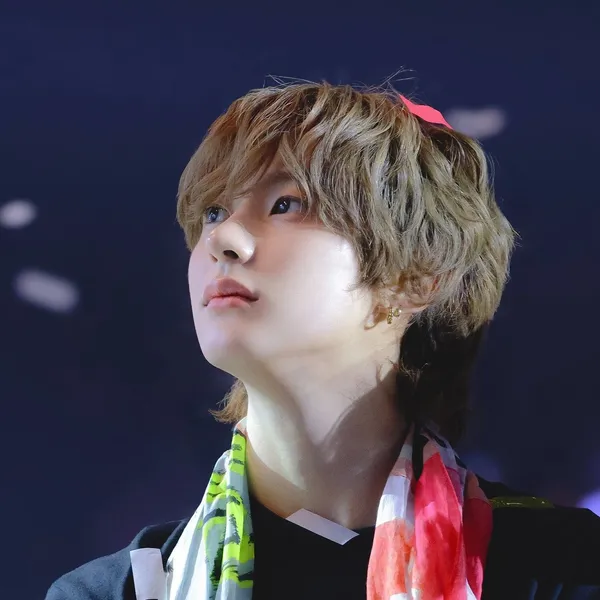 Idol_Top_Banner