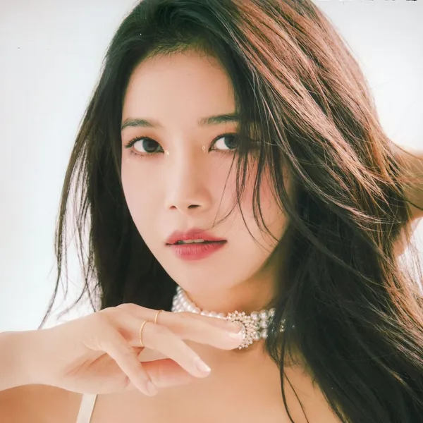 Idol_Top_Banner