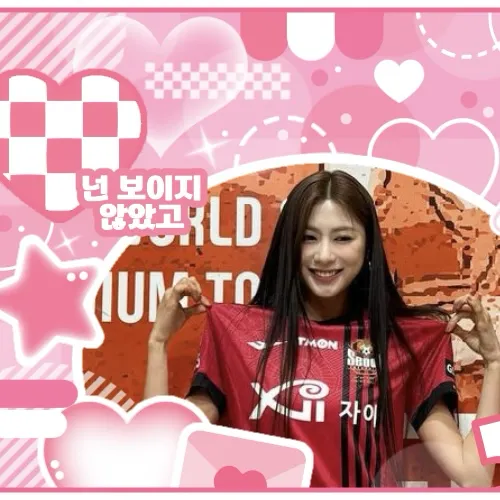 Today's Most Loved Apink
