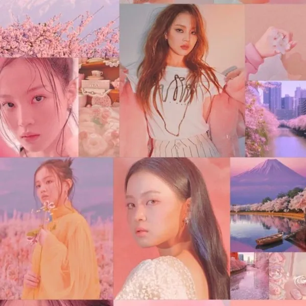 Idol_Top_Banner
