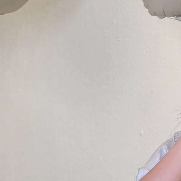 Idol_Top_Banner