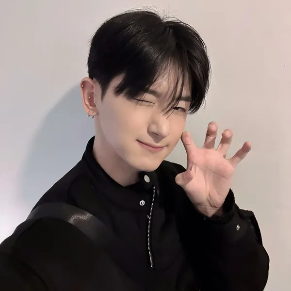 Idol_Top_Banner