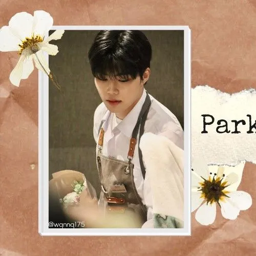 Idol_Top_Banner