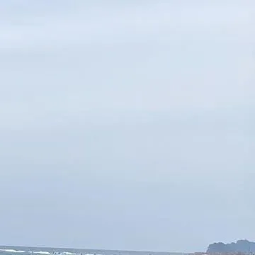 Idol_Top_Banner