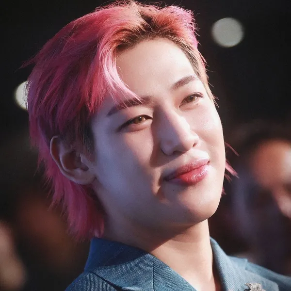 Idol_Top_Banner