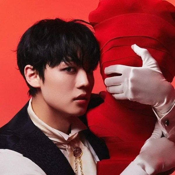 Idol_Top_Banner