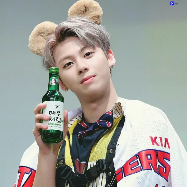Idol_Top_Banner