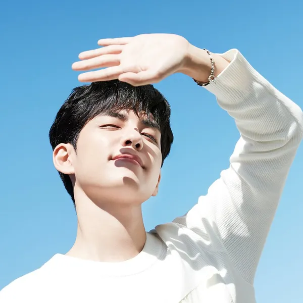 Idol_Top_Banner