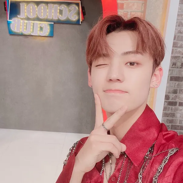 Idol_Top_Banner
