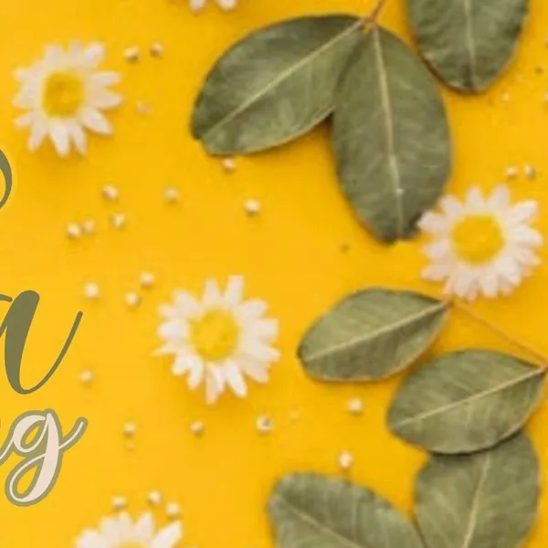 Idol_Top_Banner