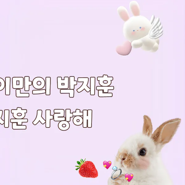 Idol_Top_Banner