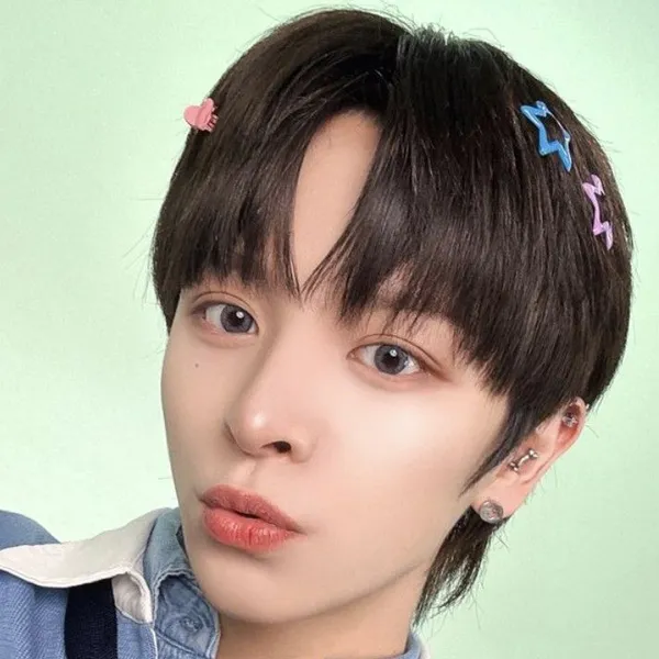 Idol_Top_Banner