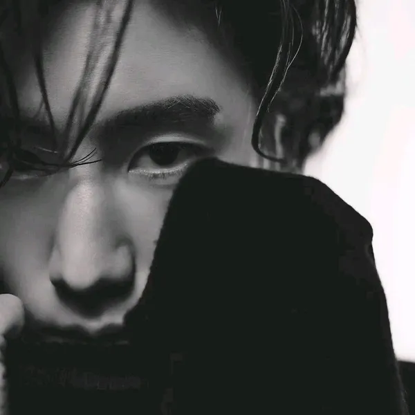 Idol_Top_Banner
