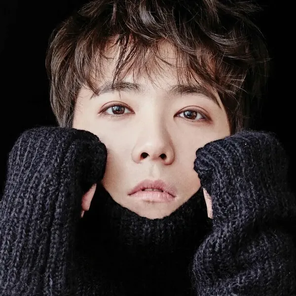 Idol_Top_Banner