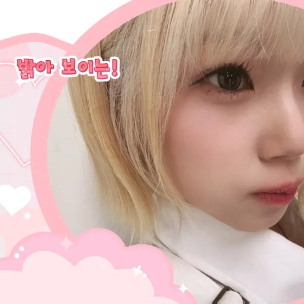 Idol_Top_Banner