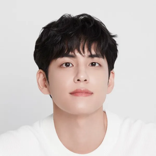 Idol_Top_Banner