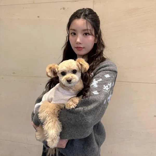 Idol_Top_Banner