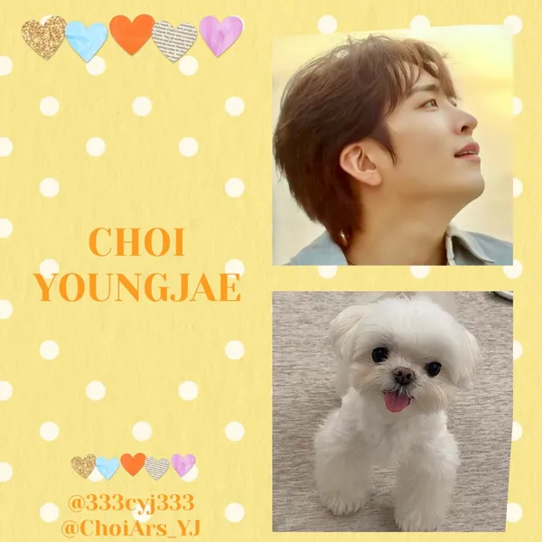 Idol_Top_Banner