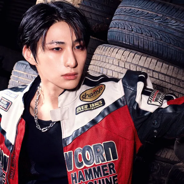 Idol_Top_Banner